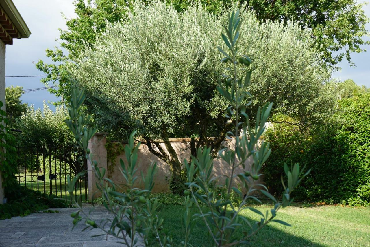 La belle histoire Gîte Ventoux Bédoin Extérieur photo